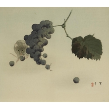 Watanabe Seitei创作的日本版画《Mouse and Grapes》