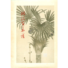 Unknown, 無款 (null)创作的日本版画《Hemp Palm - Rimpa School Series》
