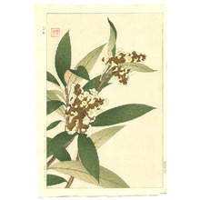 Japanischer Druck "Loquat" von Kawarazaki Shodo