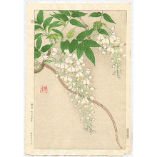 Japanischer Druck "Wisteria" von Kawarazaki Shodo