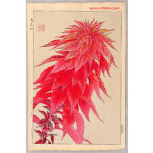 Japanischer Druck "Red Amaranth" von Kawarazaki Shodo