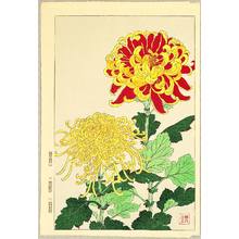 Japanischer Druck "Chrysanthemums" von Kawarazaki Shodo
