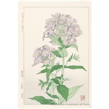 Japanischer Druck "Oleander" von Kawarazaki Shödö