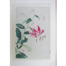 Japanischer Druck "Flowers 8" von Kawarazaki Shodo (河原崎奨堂)