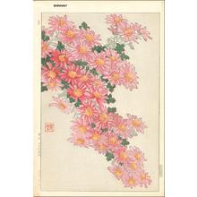 Japanischer Druck "Pink Mum Cascade" von Kawarazaki Shodo (河原崎奨堂)