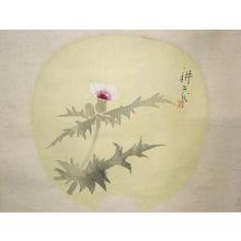 Yamamura Koka (1885-1942) Toyonari (山村耕花)创作的日本版画《Fan with Thistle — 薊図団》