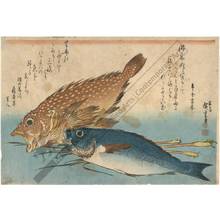 Japanese Print "Kasago and Isaki (title not original)" by Ando Hiroshige, 歌川広重 (Ando Hiroshige)