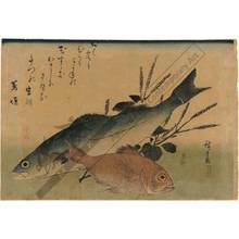 Japanese Print "Sea bass and sea bream" by Ando Hiroshige, 歌川広重 (Ando Hiroshige)