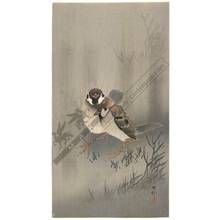 Japanese Print "Sparrows in rain shower (title not original)" by Ohara Shoson