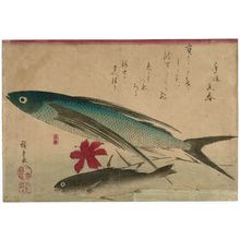 Utagawa Hiroshige, 歌川広重 (Utagawa Hiroshige I)による浮世絵「Flying Fish, Ishimochi, and Lily, from an untitled series known as Large Fish」