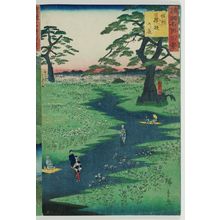 Utagawa Hiroshige II, 二歌川広重 (Utagawa Hiroshige II (Shigenobu))による浮世絵「Field of Bellflowers in Shinano Province (Shinshû kikyô no hara), from the series One Hundred Famous Views in the Various Provinces (Shokoku meisho hyakkei)」