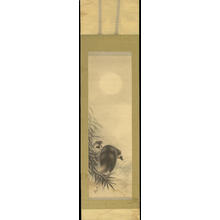 Japanese Print "Tanuki under the Moon" by Miki Suizan, 三木翠山 (Suizan, Miki)